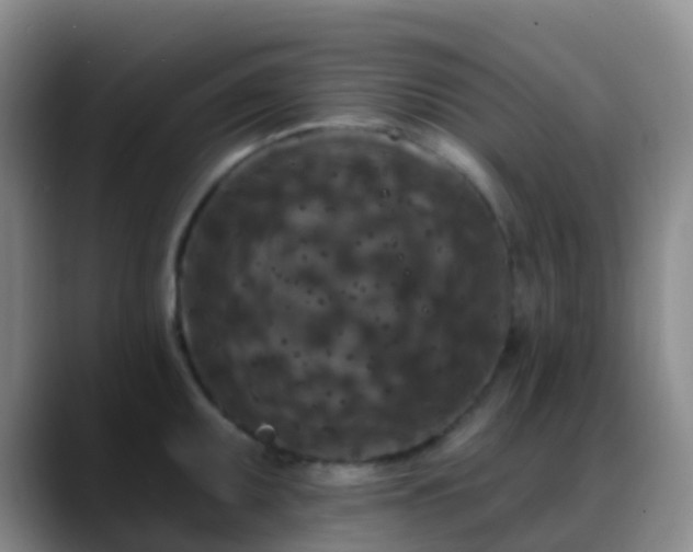 X0000088881095200706151807