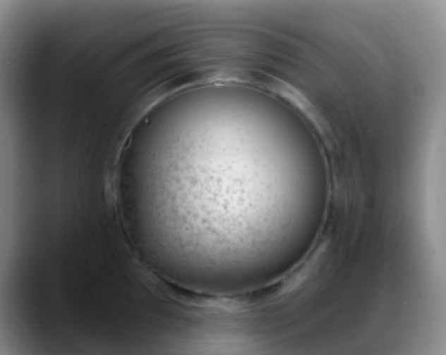 X0000088881097200706151807