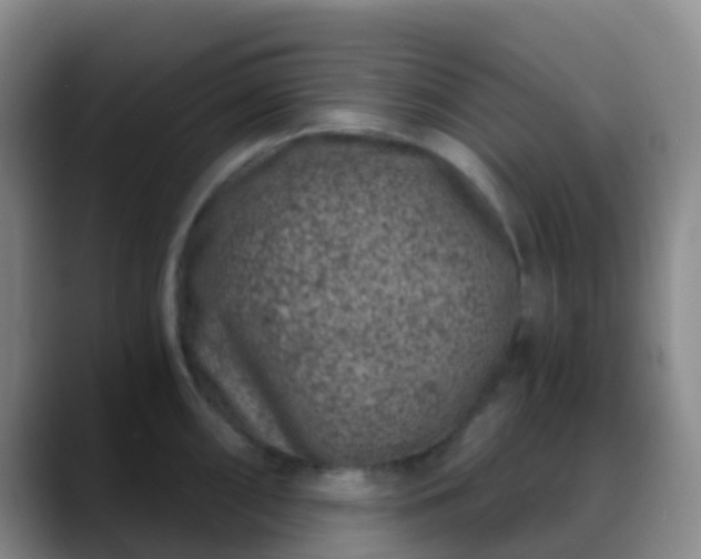 X0000088881098200706151807