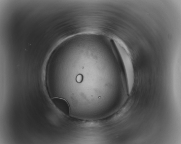 X0000088881099200706151807