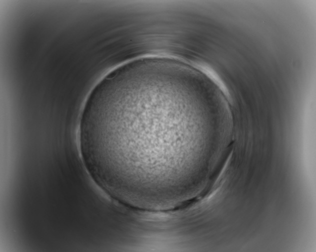 X0000088881100200706151807