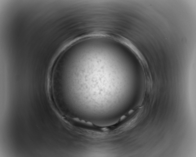 X0000088881101200706151807