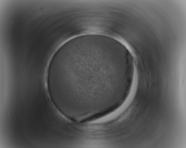 X0000088881102200706151807