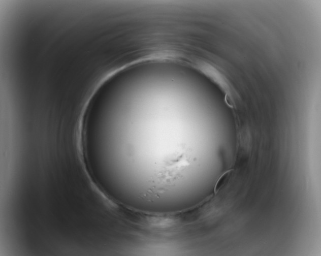 X0000088881103200706151807