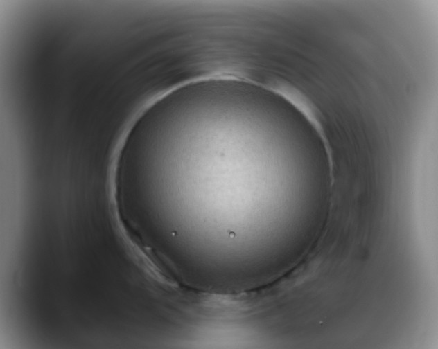 X0000088881104200706151807