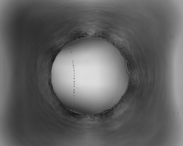 X0000088881105200706151806