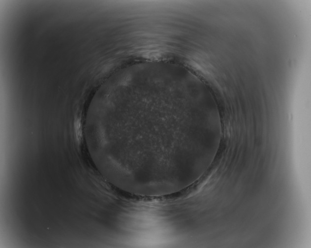 X0000088881106200706151806