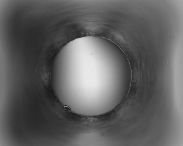 X0000088881109200706151806