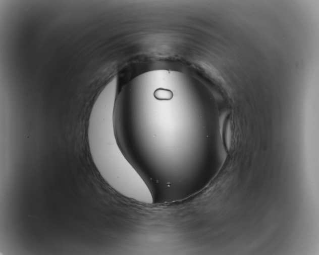 X0000088881110200706151806