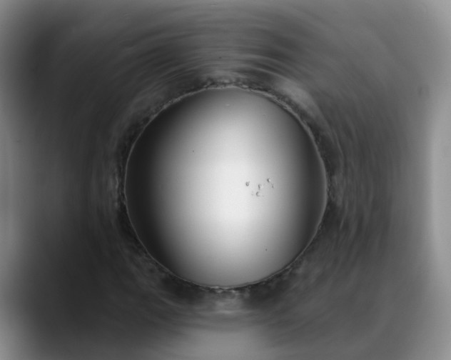 X0000088881111200706151806