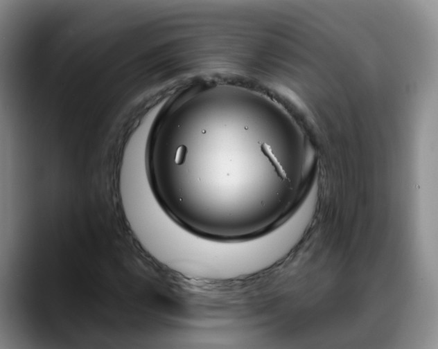 X0000088881112200706151806