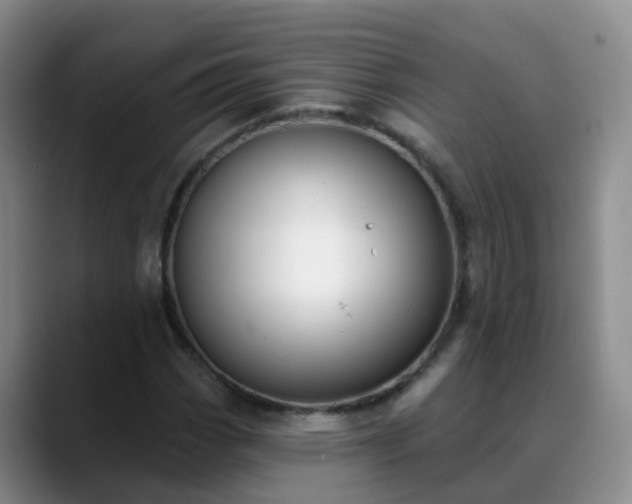 X0000088881113200706151806