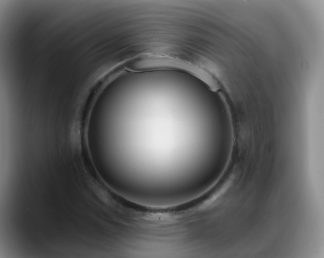 X0000088881114200706151806