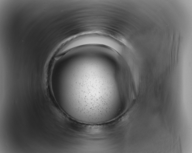 X0000088881116200706151806