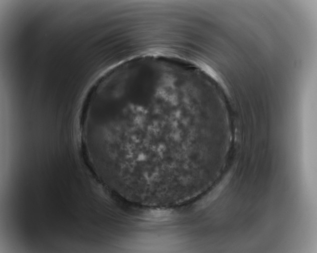 X0000088881117200706151806