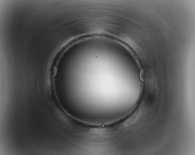 X0000088881118200706151806