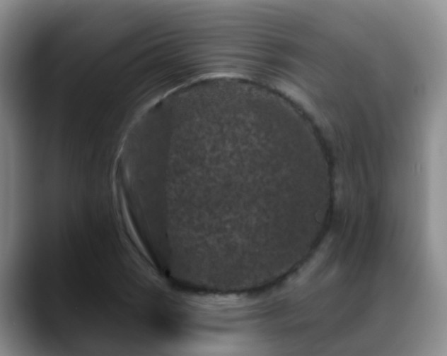 X0000088881121200706151806