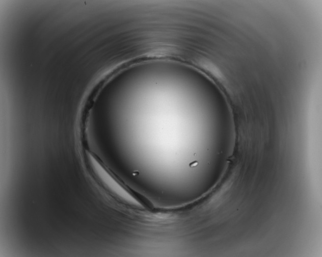 X0000088881122200706151806