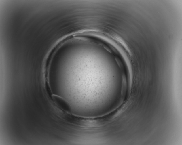 X0000088881124200706151806