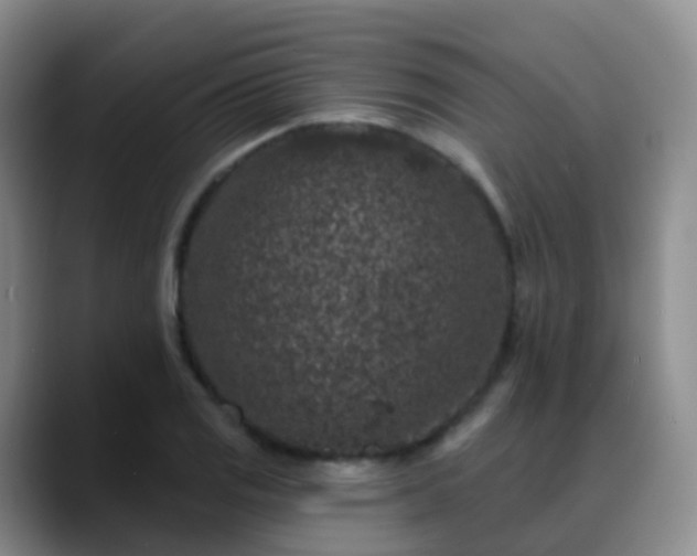 X0000088881125200706151806