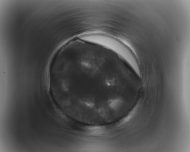 X0000088881127200706151806