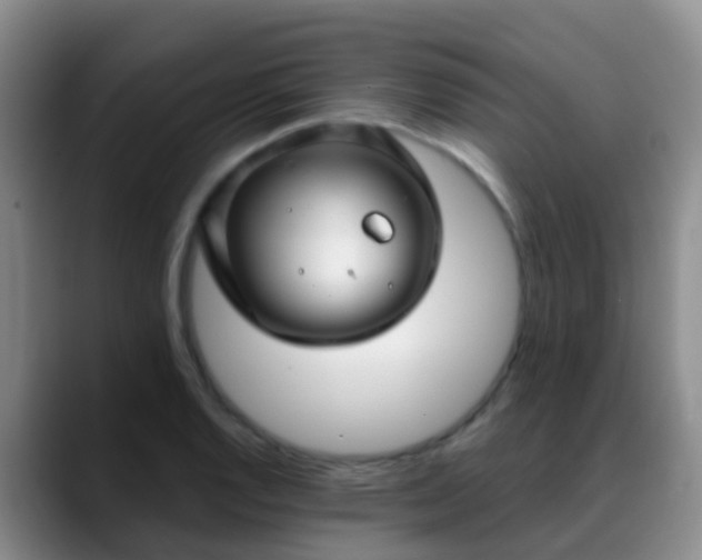 X0000088881128200706151806