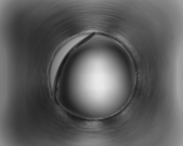 X0000088881129200706151806