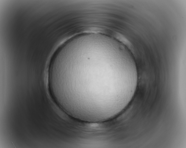 X0000088881130200706151806