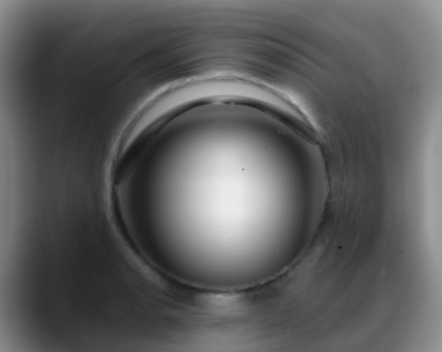 X0000088881134200706151806