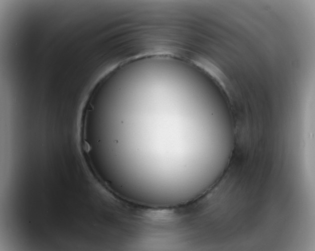 X0000088881135200706151806