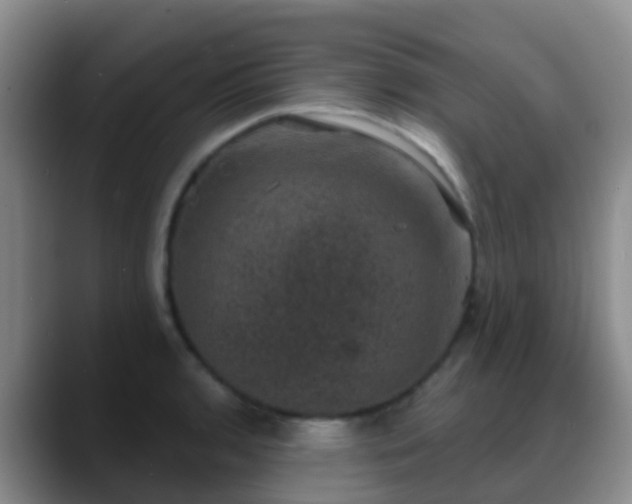 X0000088881136200706151807