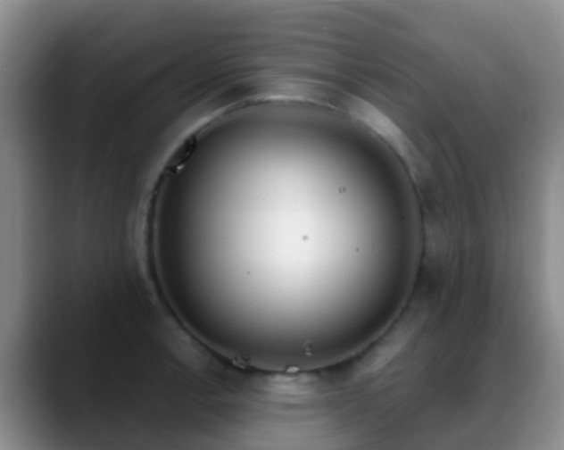 X0000088881138200706151807