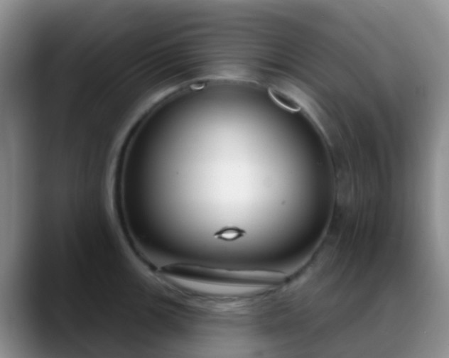 X0000088881139200706151807