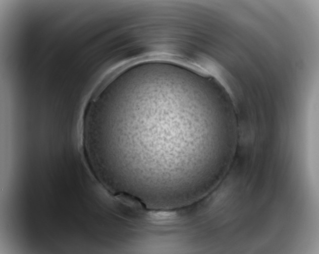 X0000088881140200706151807