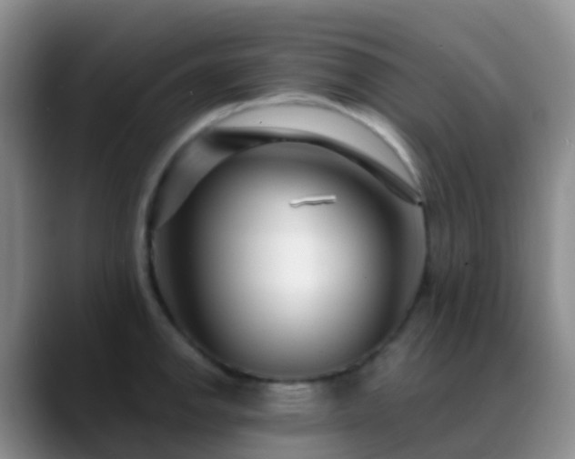 X0000088881142200706151807