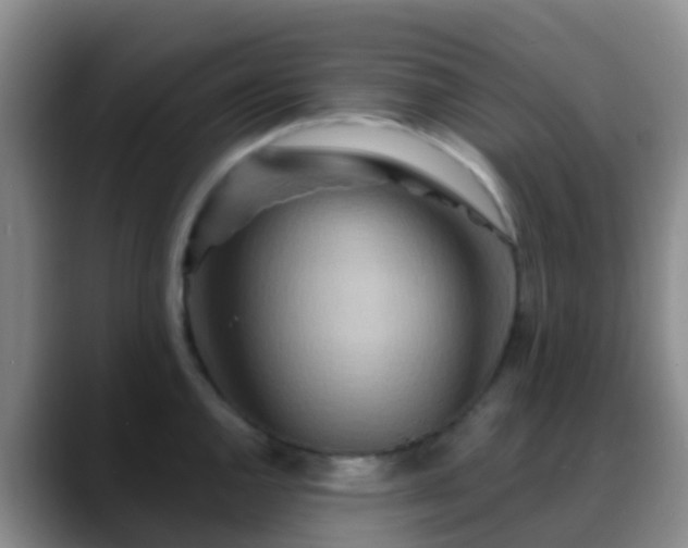 X0000088881144200706151807