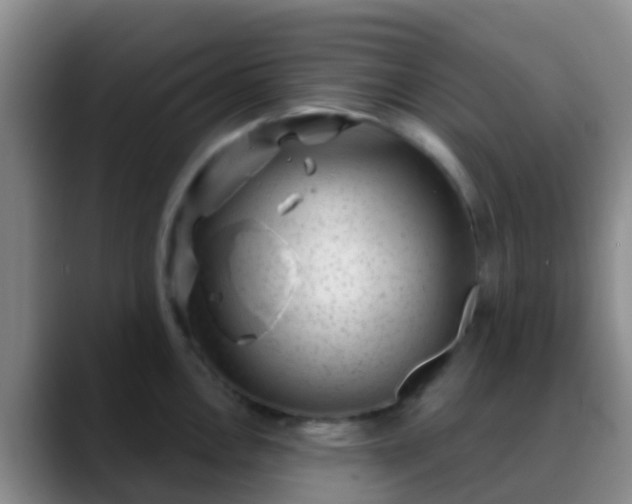 X0000088881146200706151807