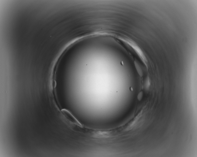 X0000088881148200706151807