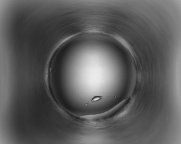 X0000088881149200706151807