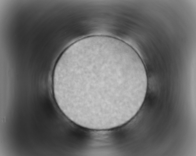 X0000088881150200706151807