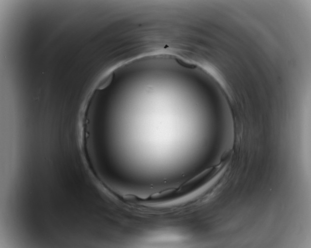 X0000088881151200706151807