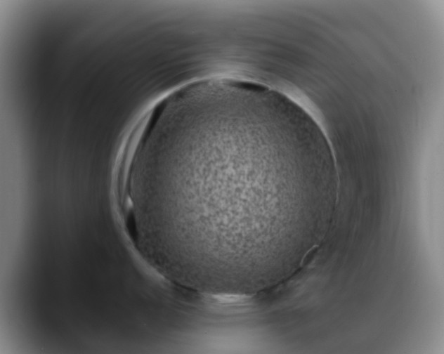 X0000088881152200706151807