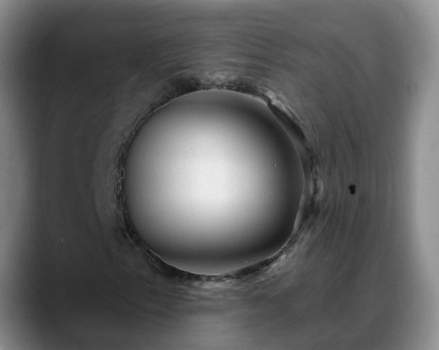 X0000088881153200706151806