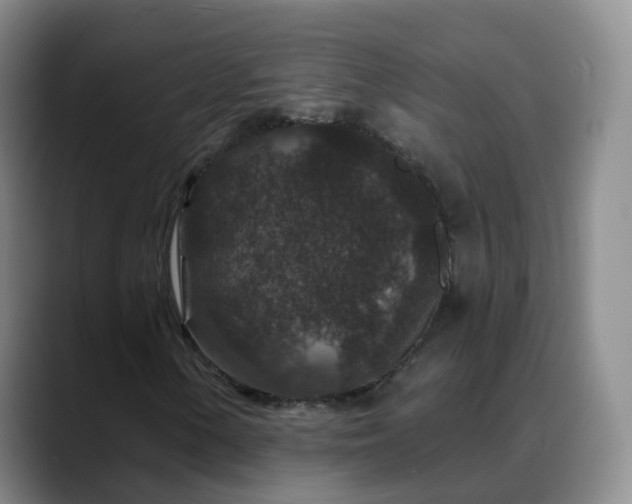 X0000088881154200706151806