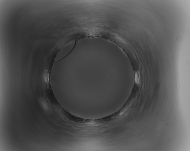 X0000088881155200706151806