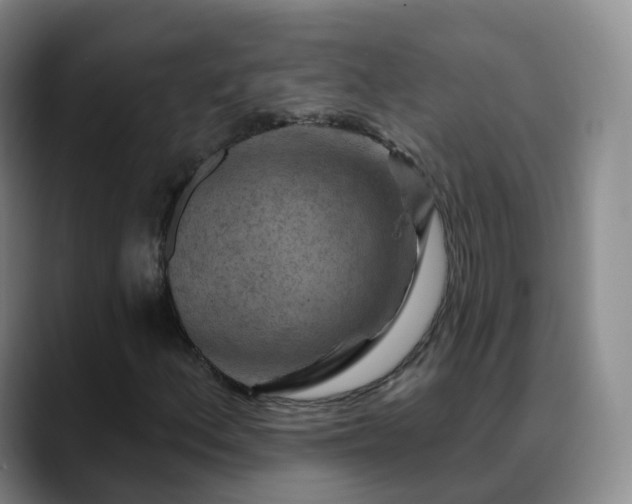 X0000088881156200706151806