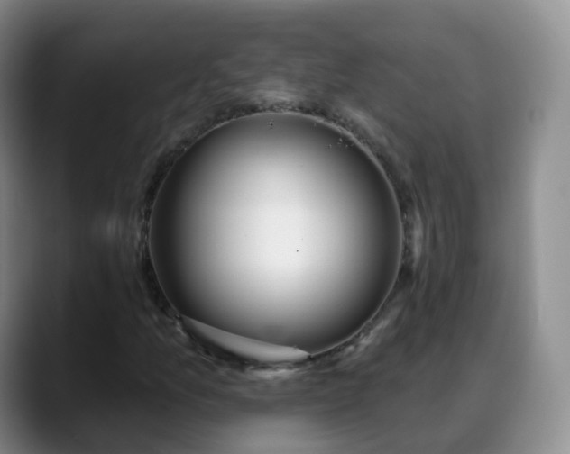 X0000088881157200706151806