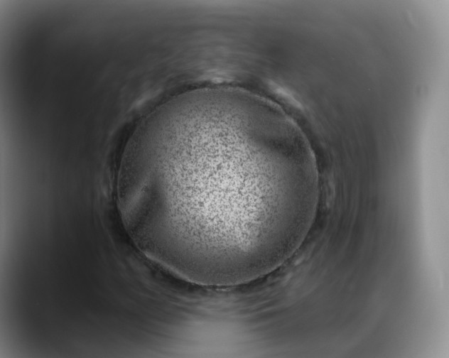 X0000088881158200706151806