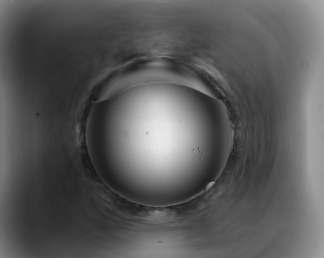 X0000088881160200706151806