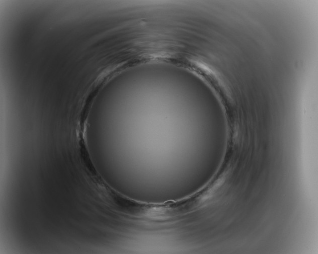 X0000088881161200706151806